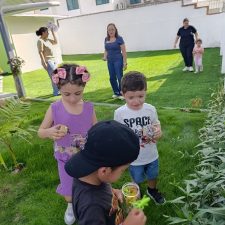 IMG_20260527_155704